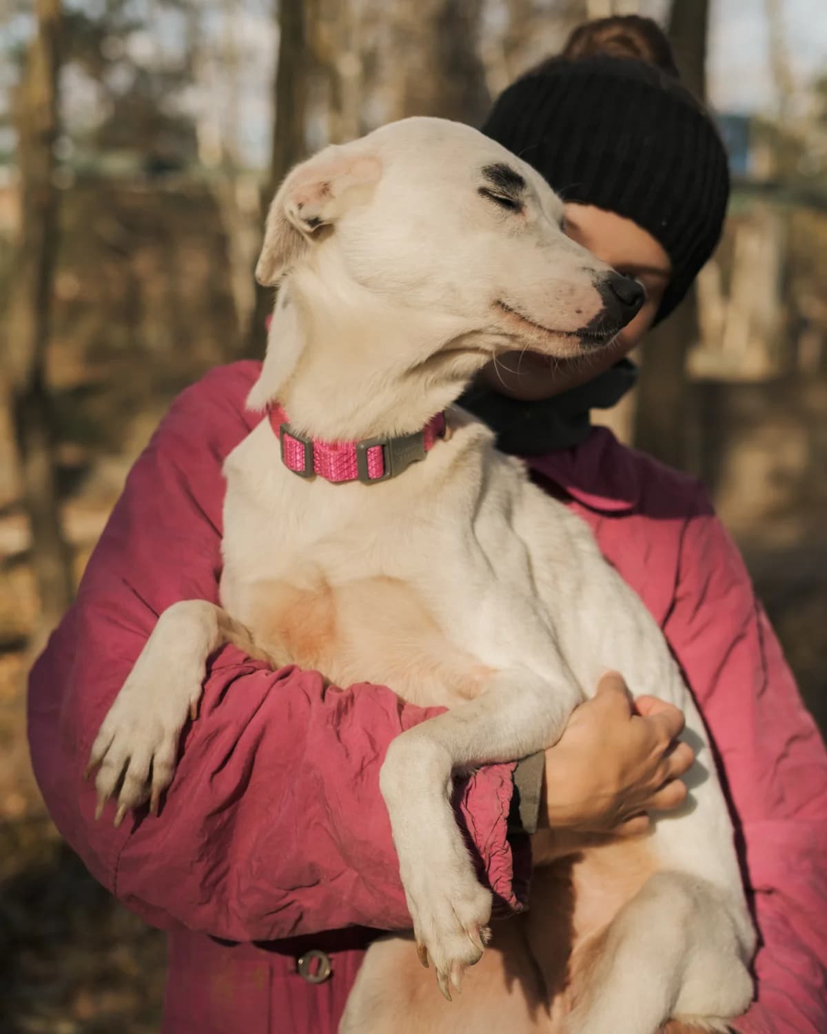 Брівка photo 3