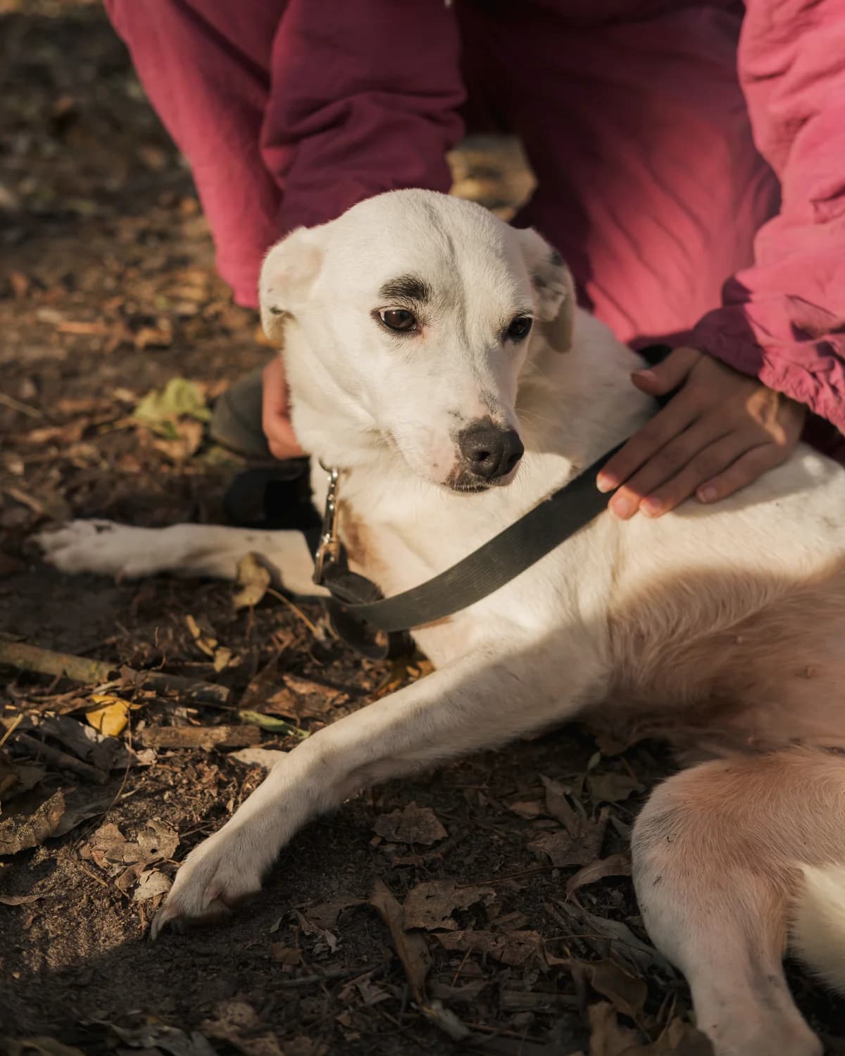 Брівка photo 5