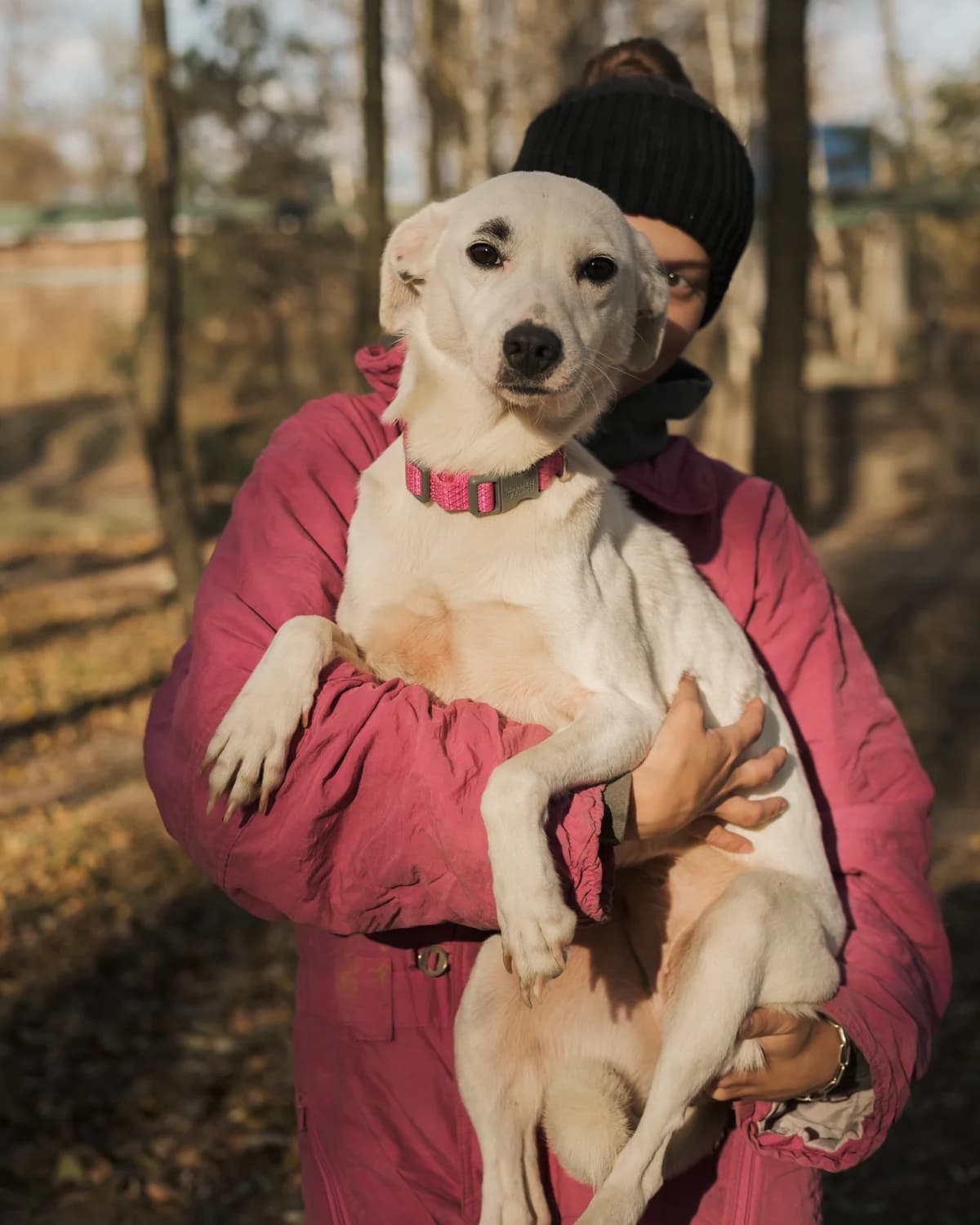 Брівка photo 6