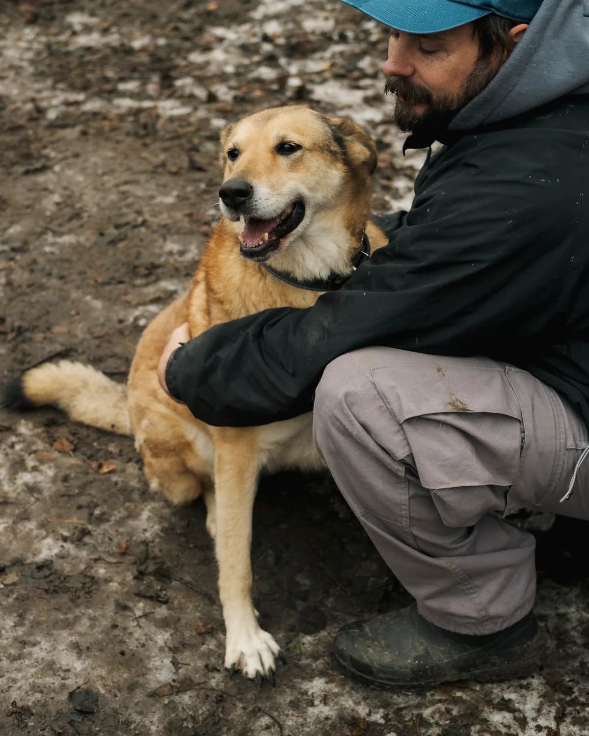 Virdzhiniya (Вірджинія),  (Sirius Shelter)