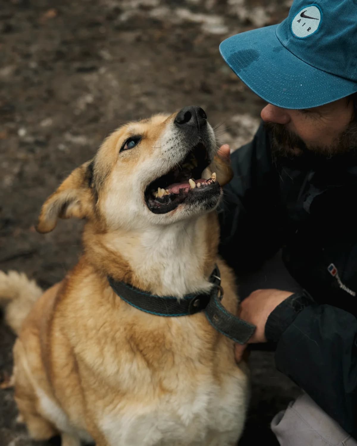 Вірджинія photo 3