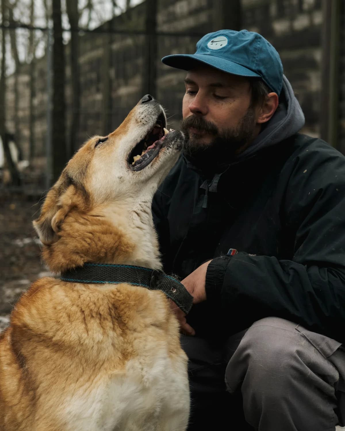 Вірджинія photo 4