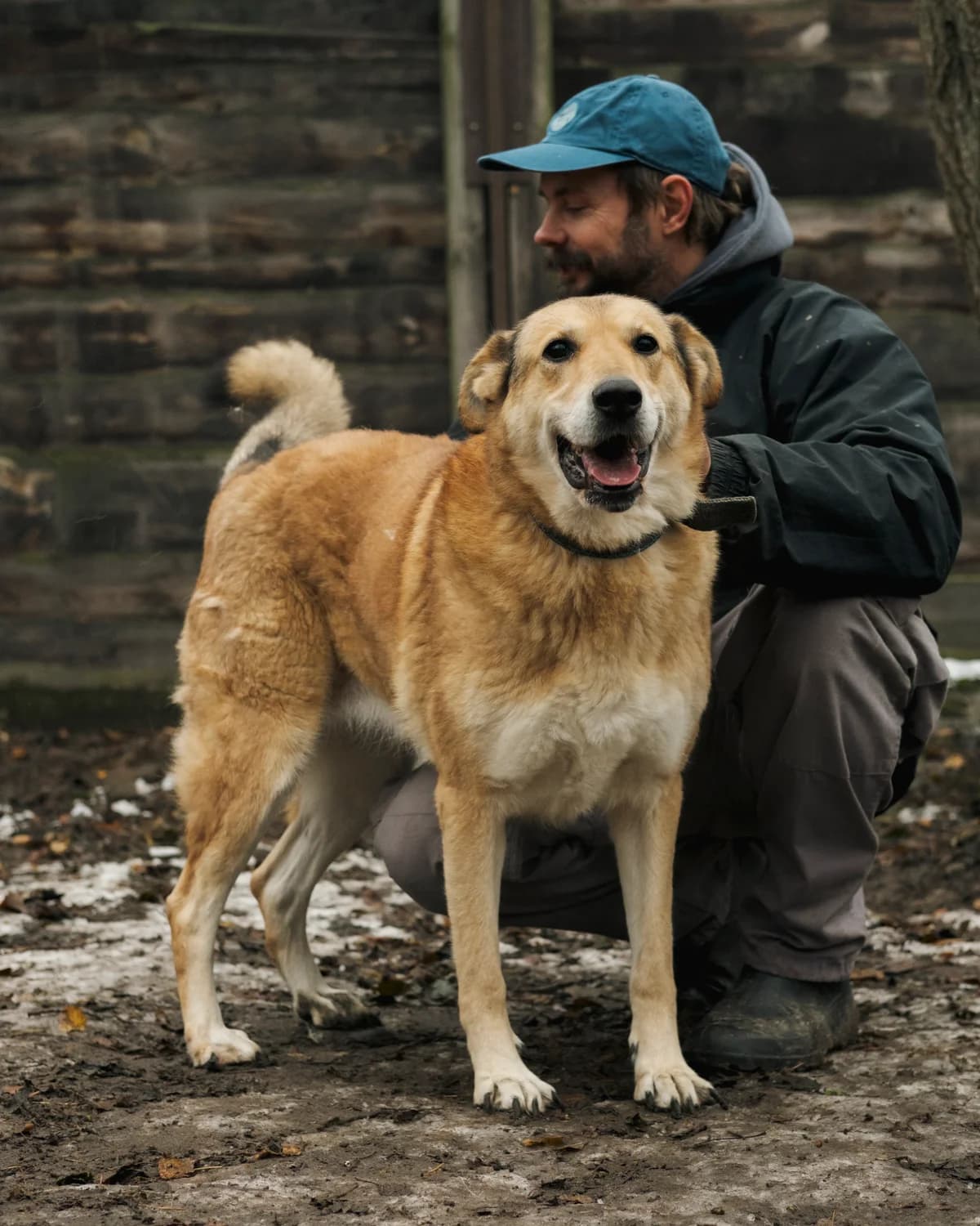 Вірджинія photo 5
