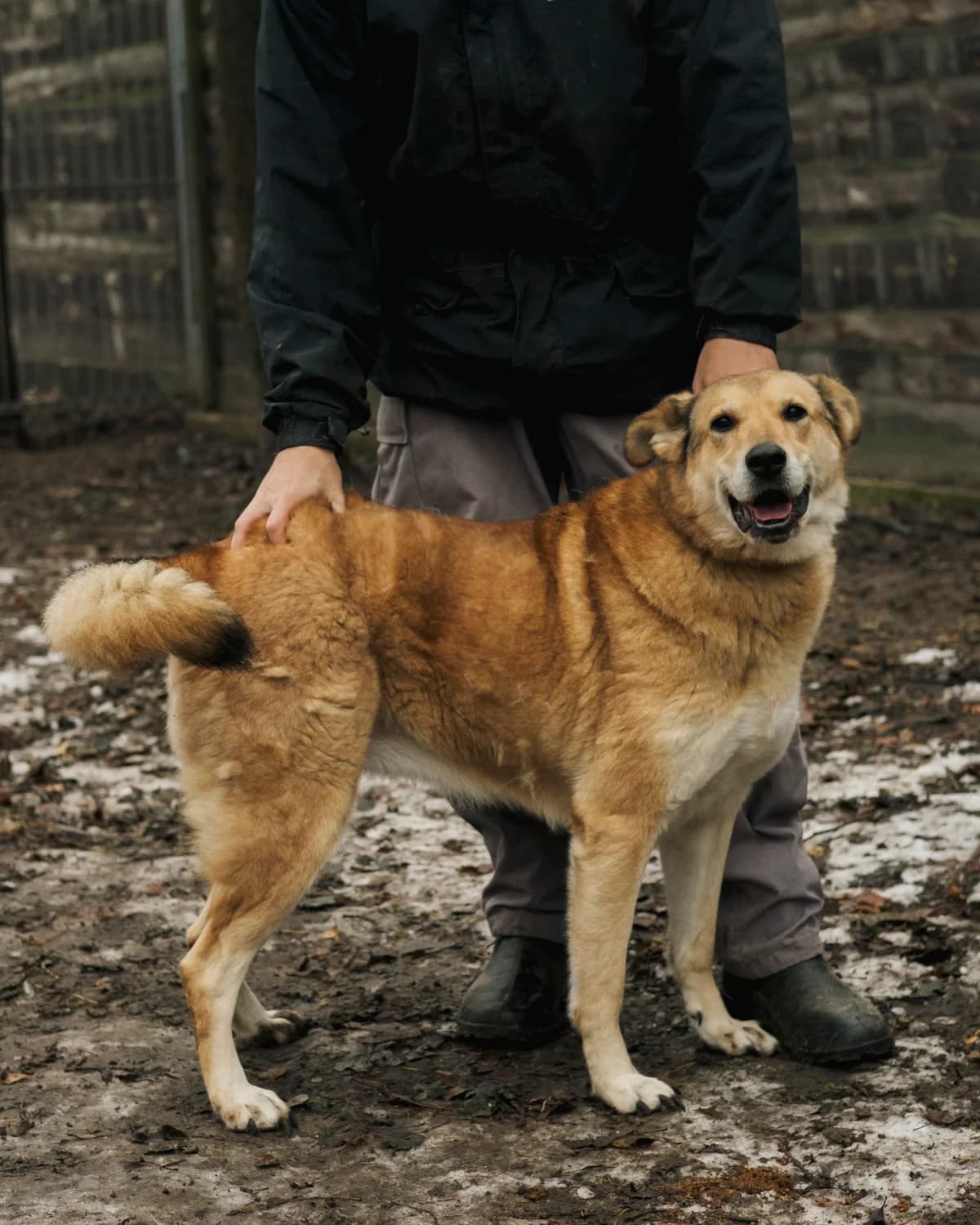 Вірджинія photo 6