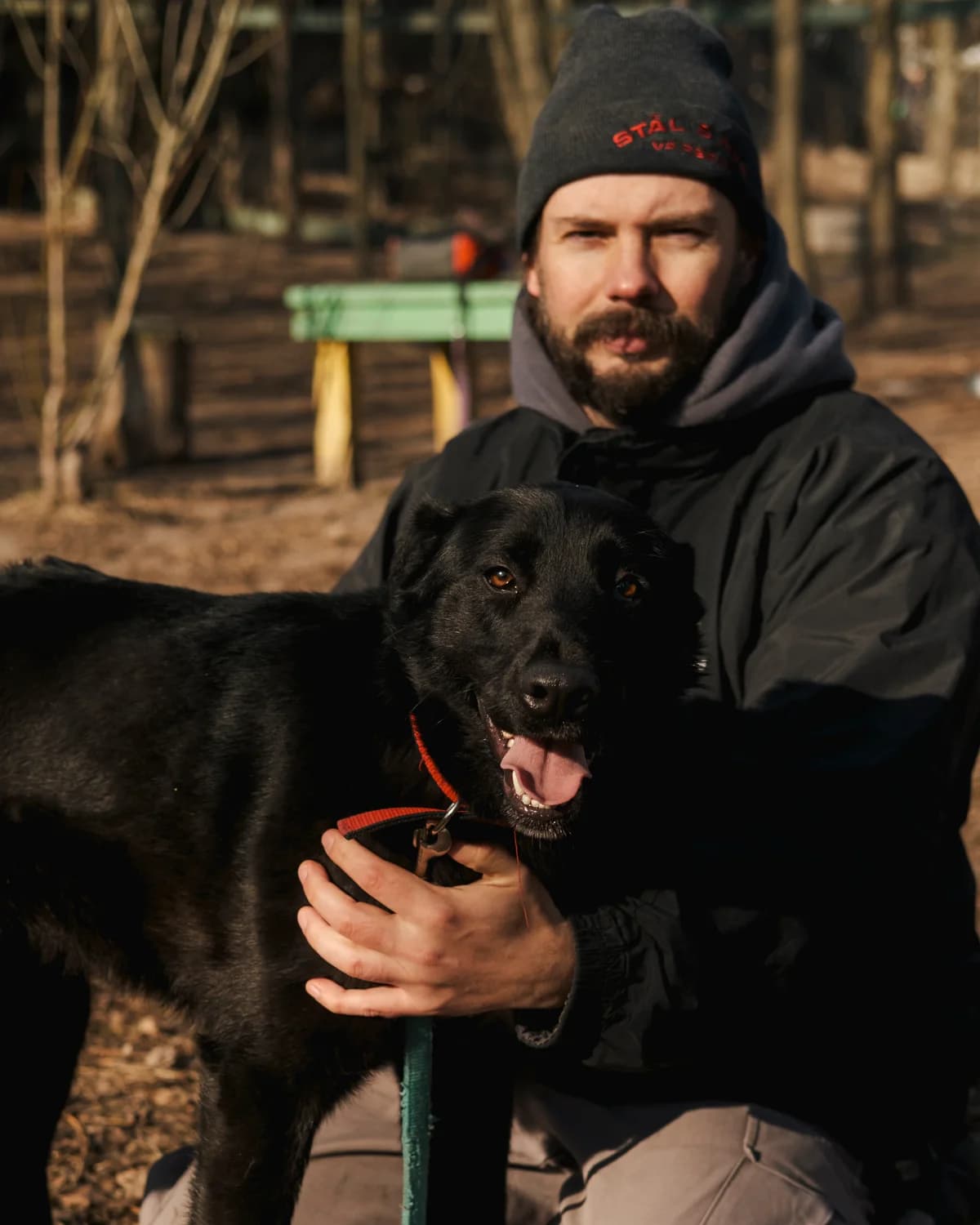 Elvis (Елвіс),  (Sirius Shelter)