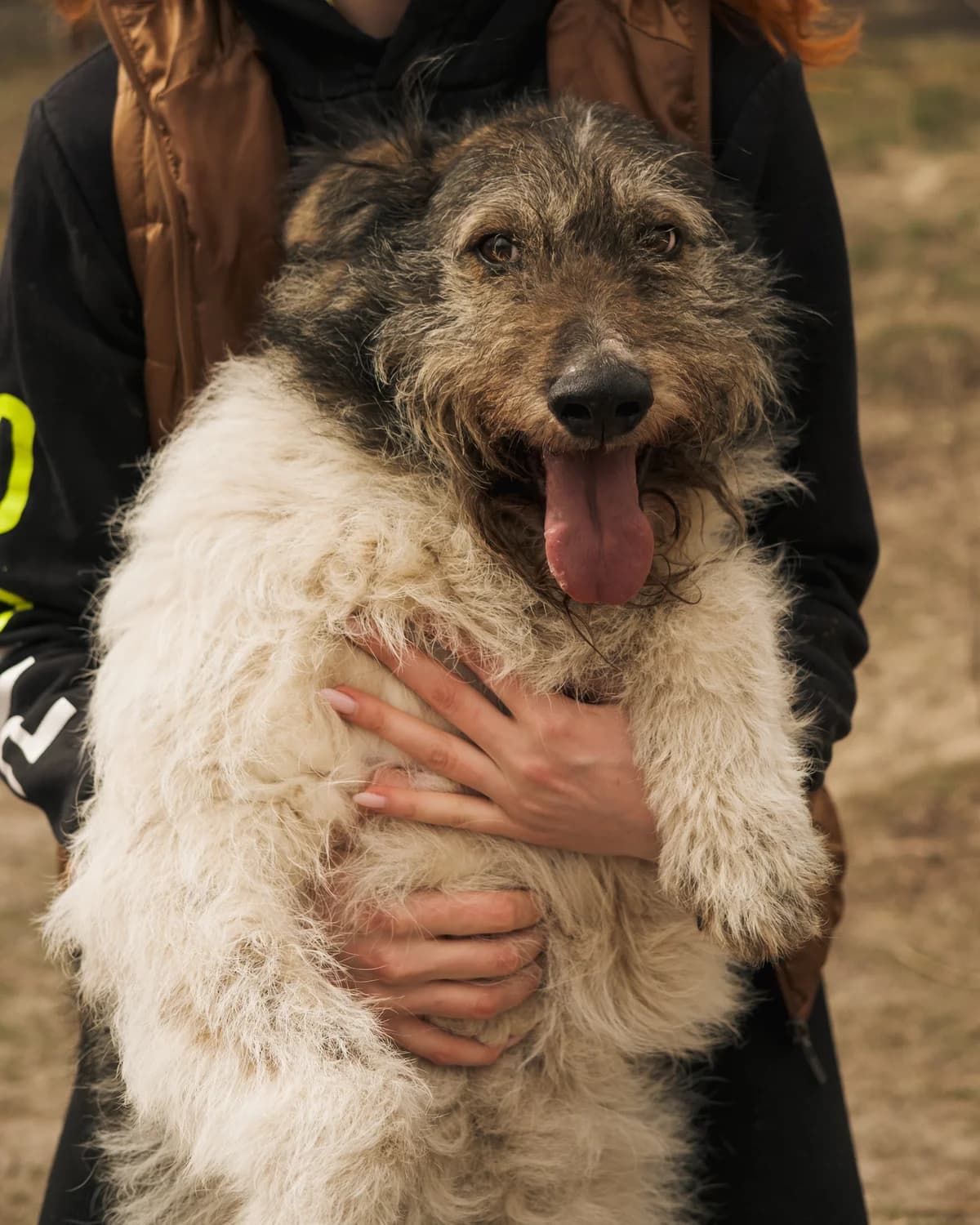 Chuba (Чуба),  (Sirius Shelter)