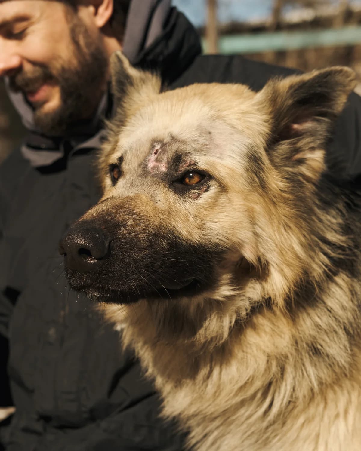 Bogdan (Богдан),  (Sirius Shelter)