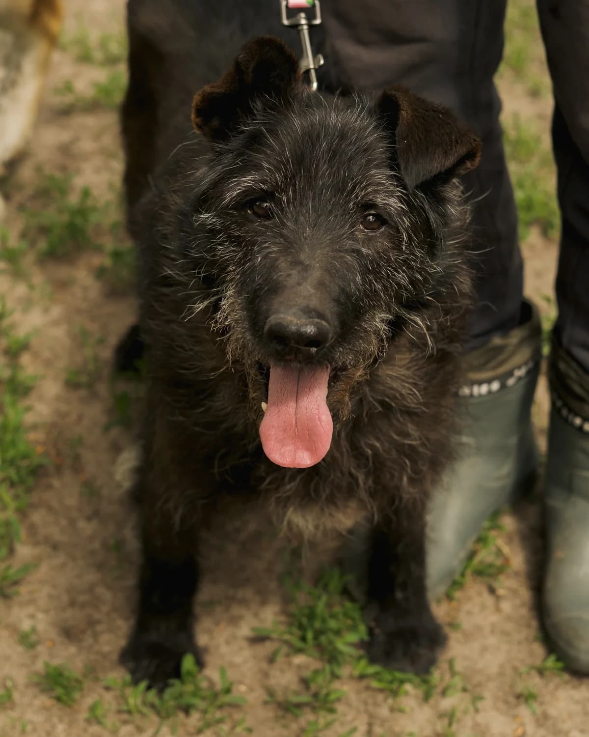 Klaus (Клаус),  (Sirius Shelter)
