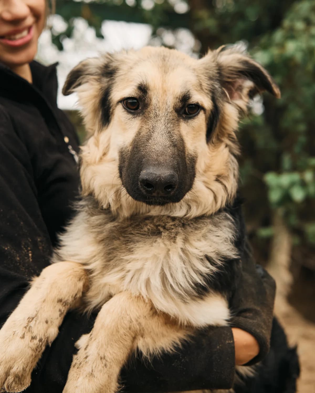Niya (Нія),  (Sirius Shelter)