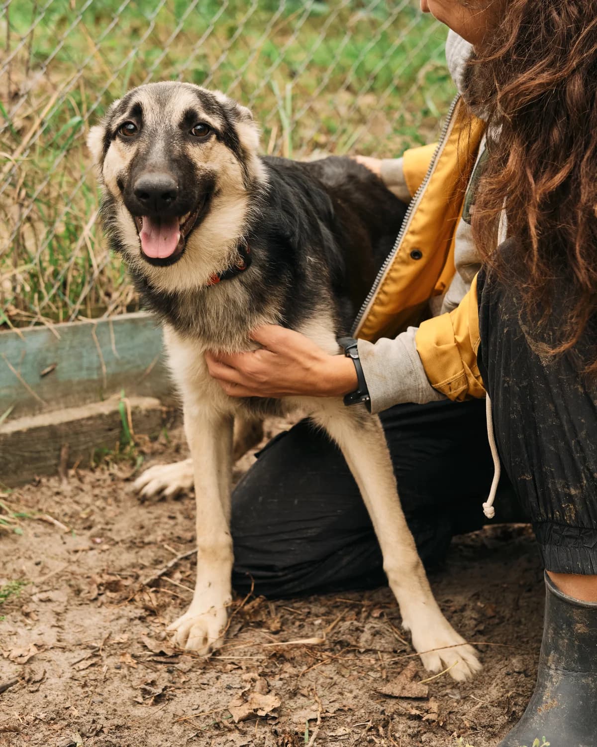 Nuar (Нуар),  (Sirius Shelter)