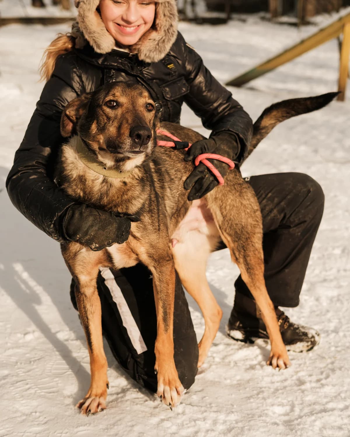 Gvintik (Гвінтик), male 4yo mixed breed for adoption at Sirius Shelter, Kyiv