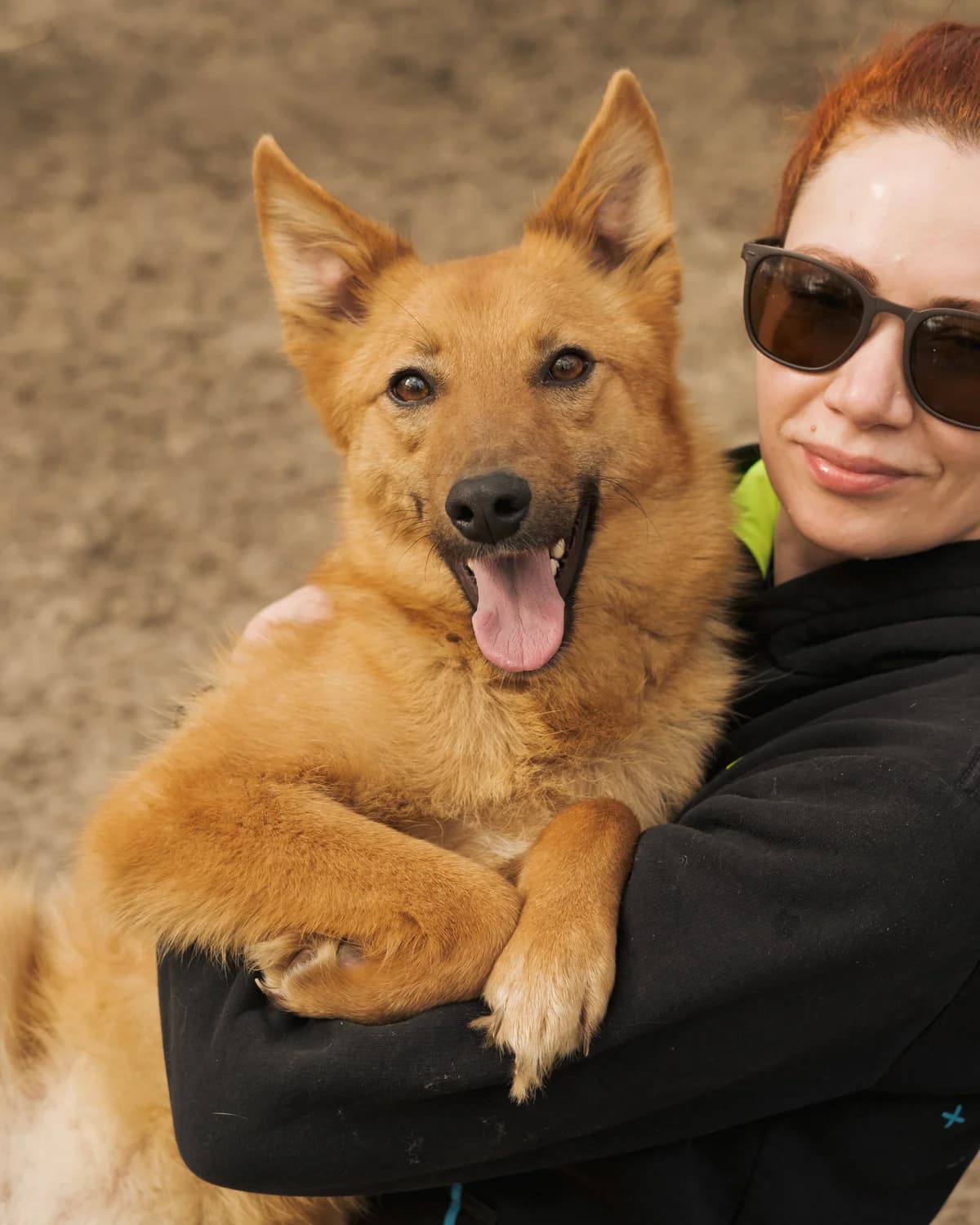 Fauna (Фауна),  (Sirius Shelter)