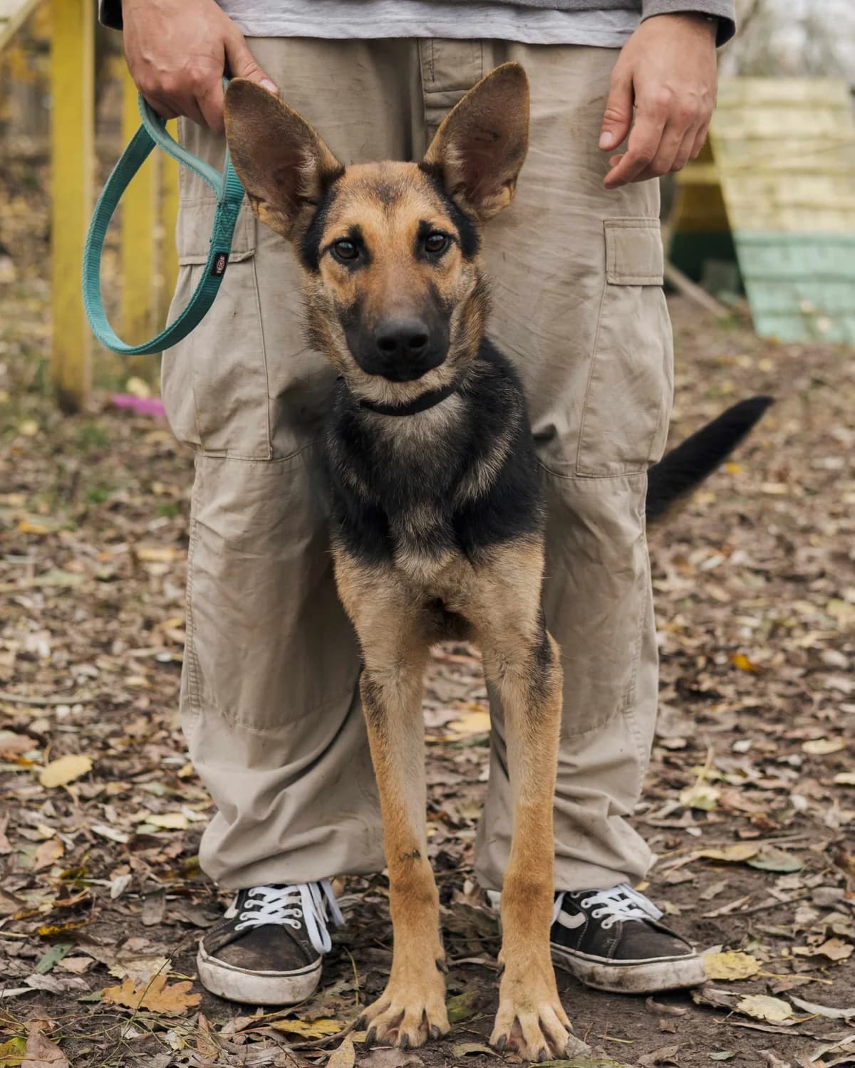 Kurt (Курт),  (Sirius Shelter)