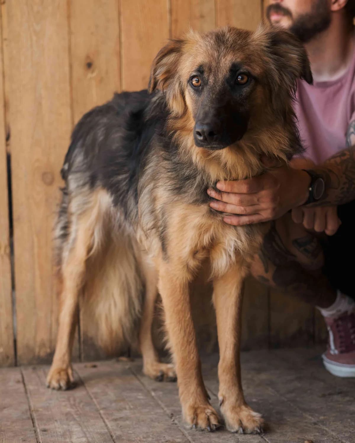 Kola (Кола),  (Sirius Shelter)