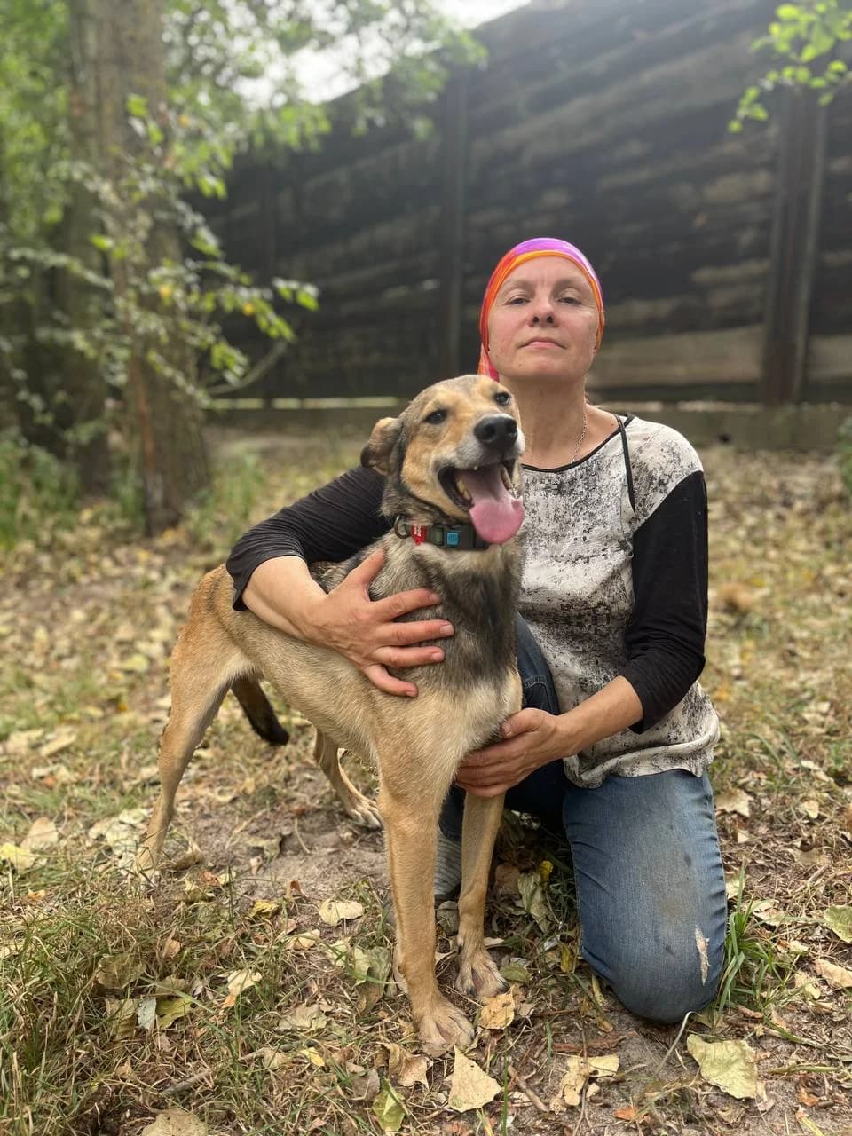 Bro (Бро),  (Sirius Shelter)