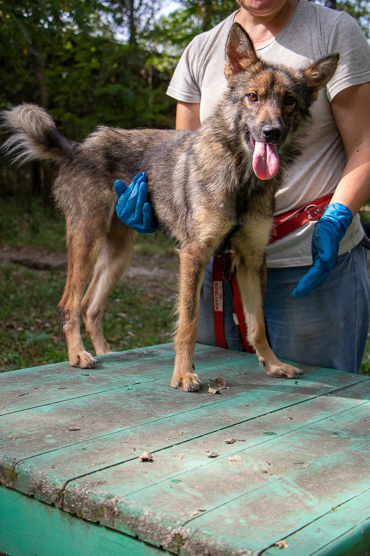 Тільда photo 2