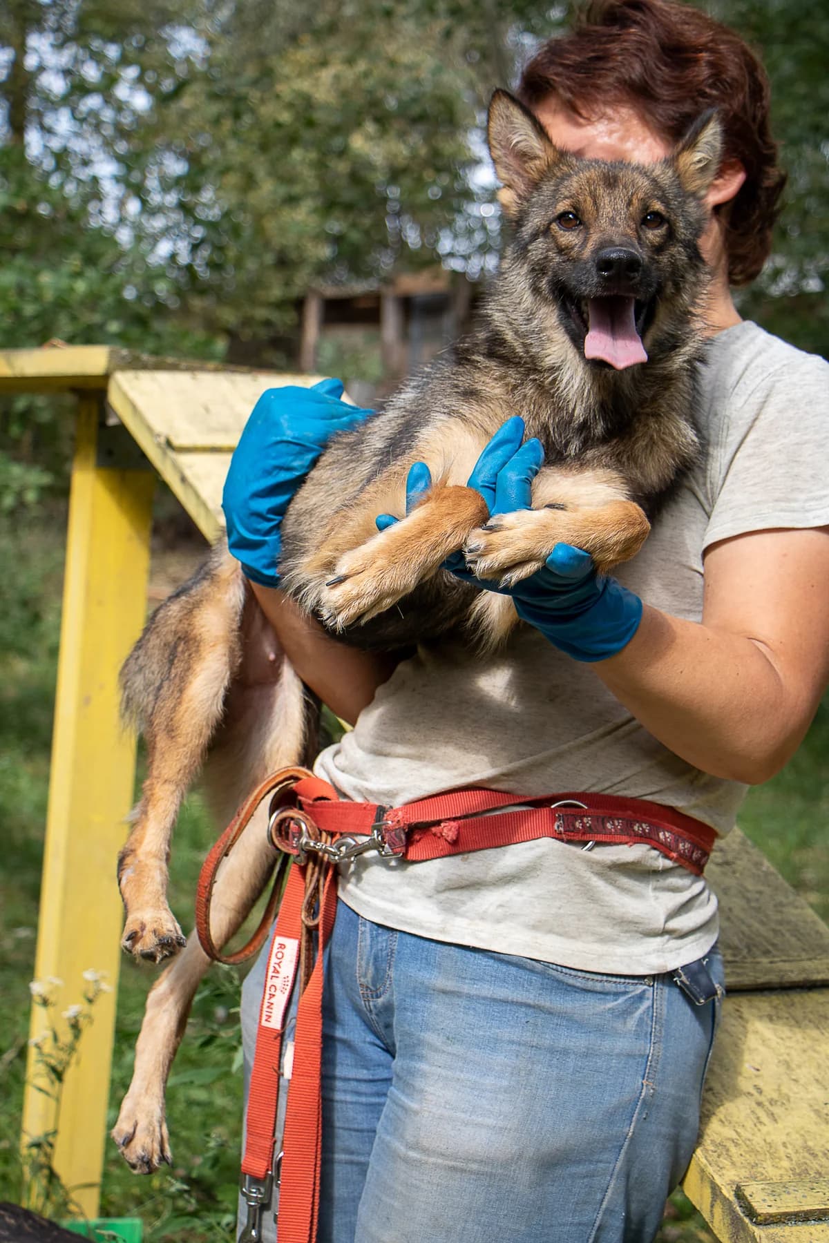 Тільда photo 3