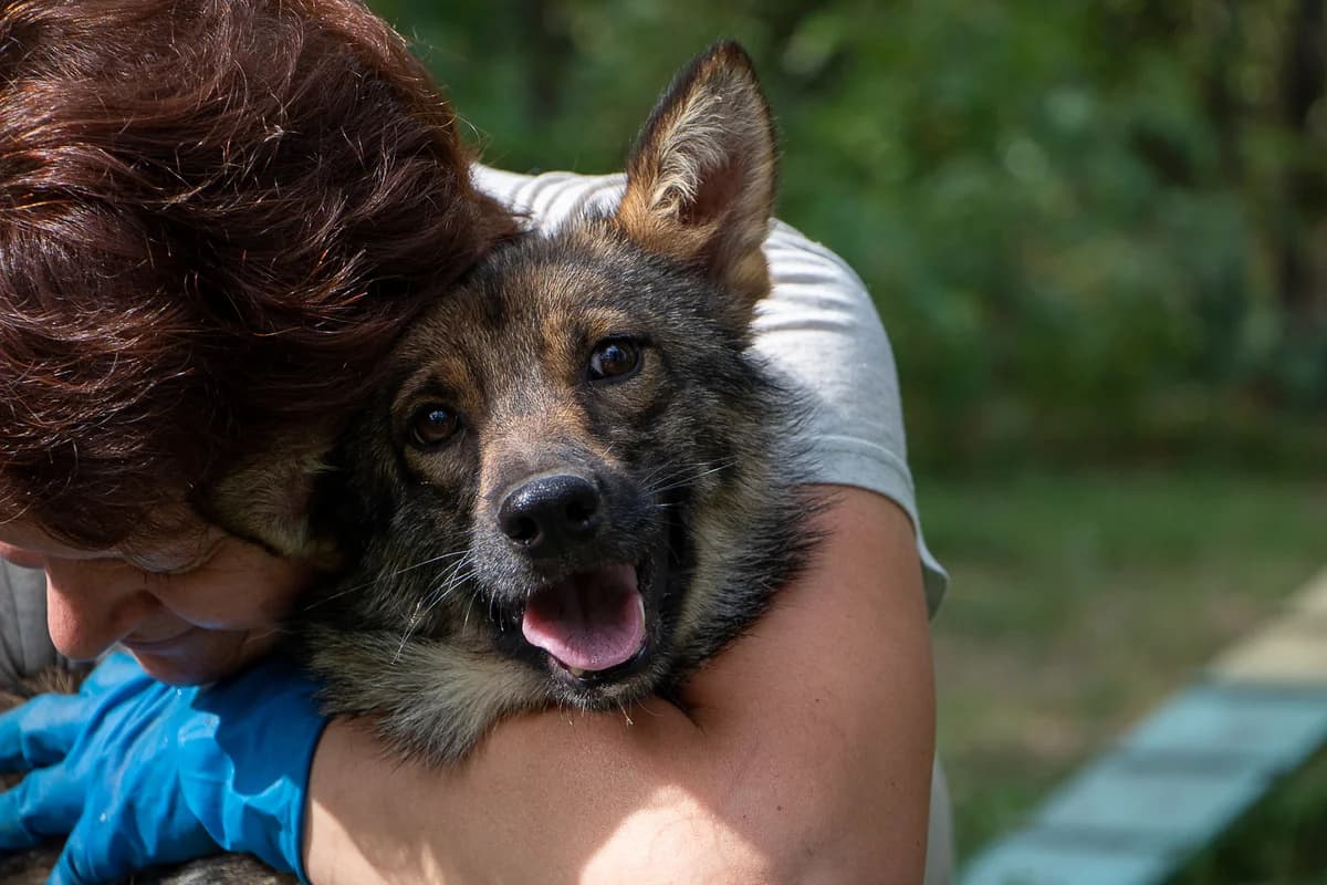 Тільда photo 4