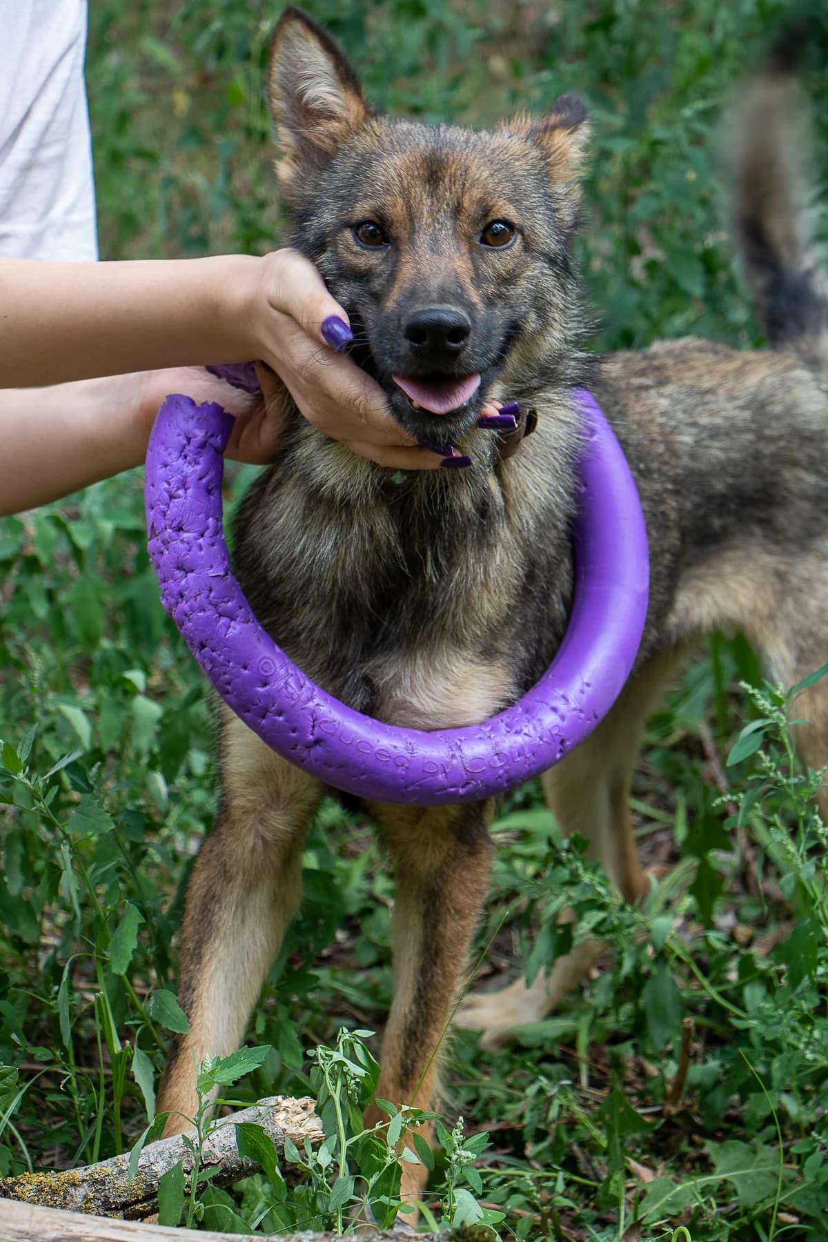 Тільда photo 5