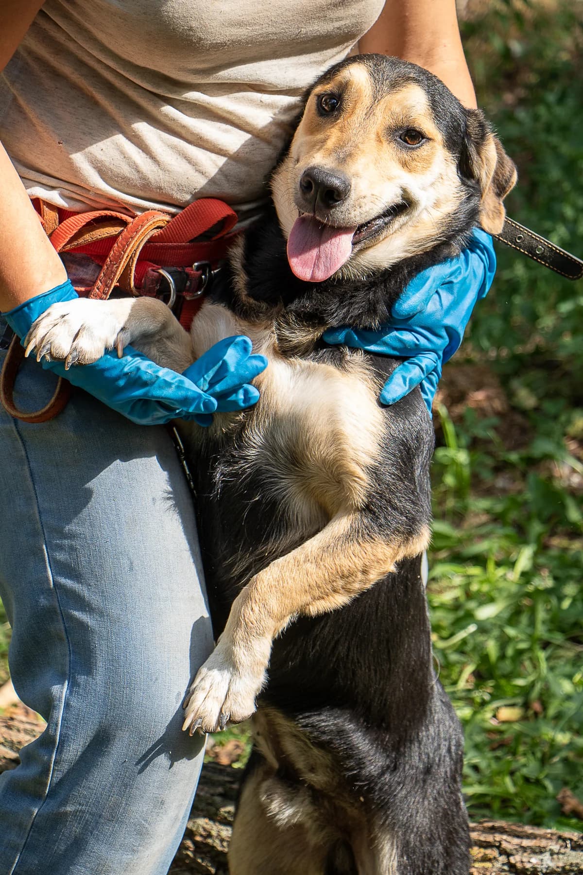 Саймон photo 2