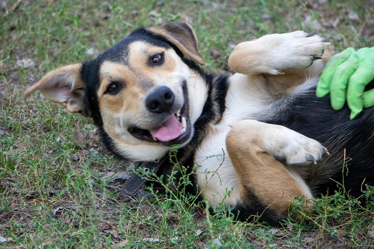 Саймон photo 3