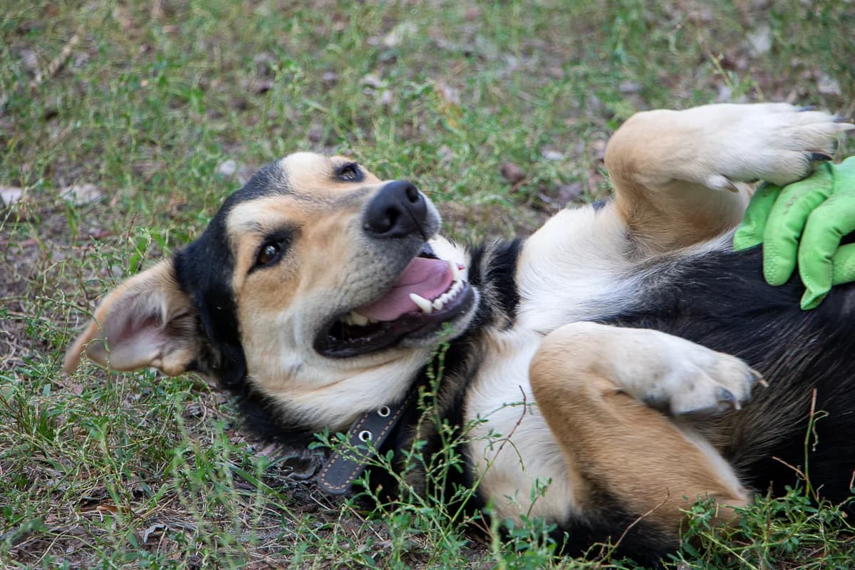 Саймон photo 4