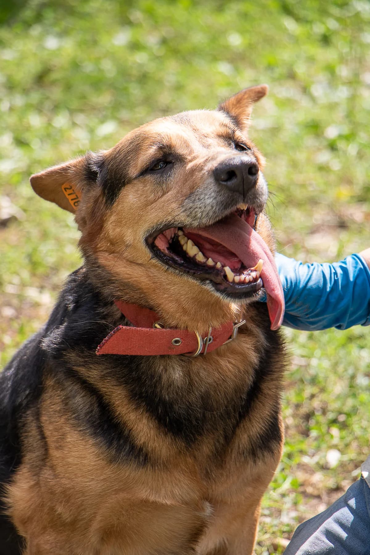 Карамелька