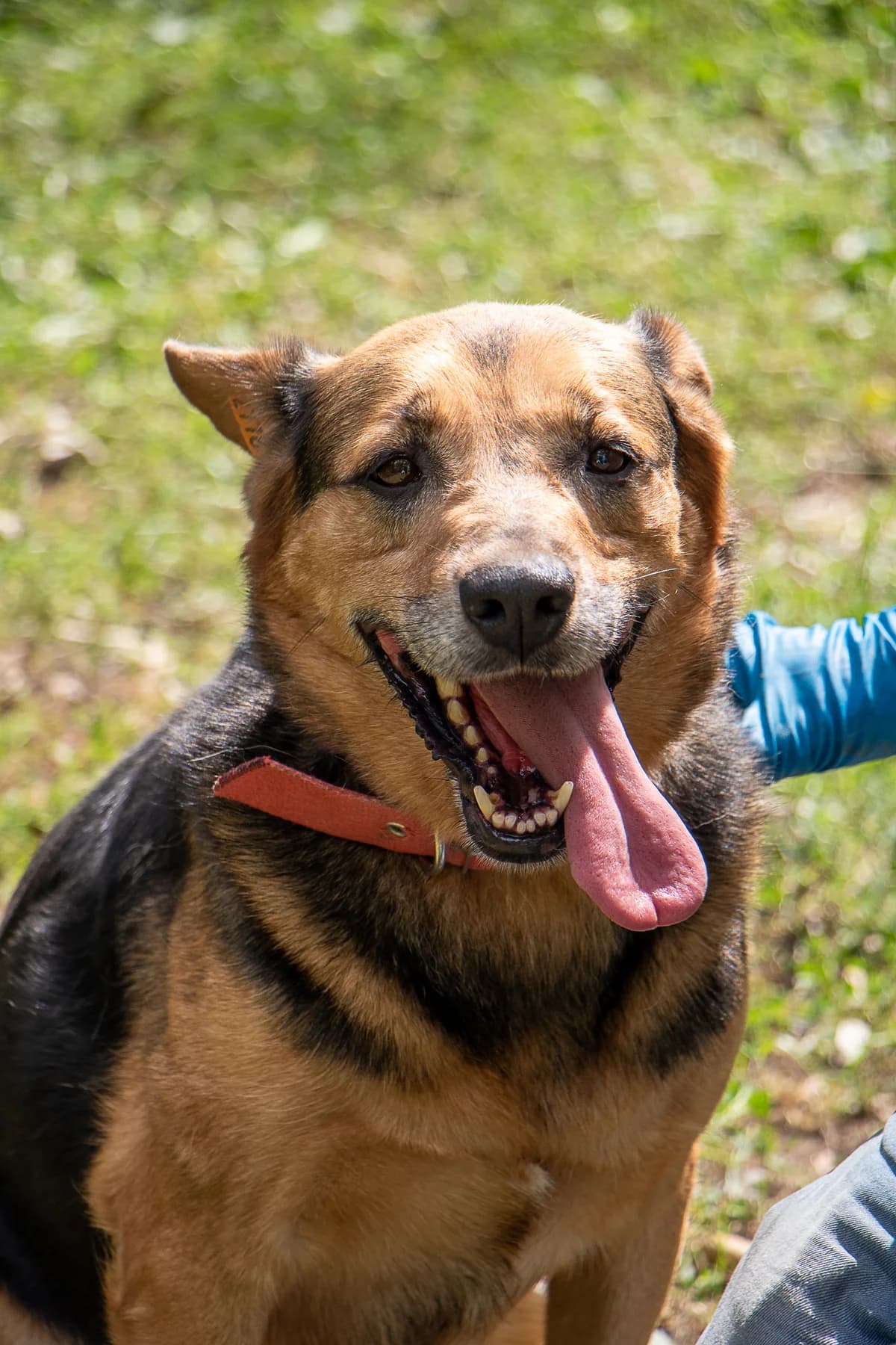 Карамелька photo 2