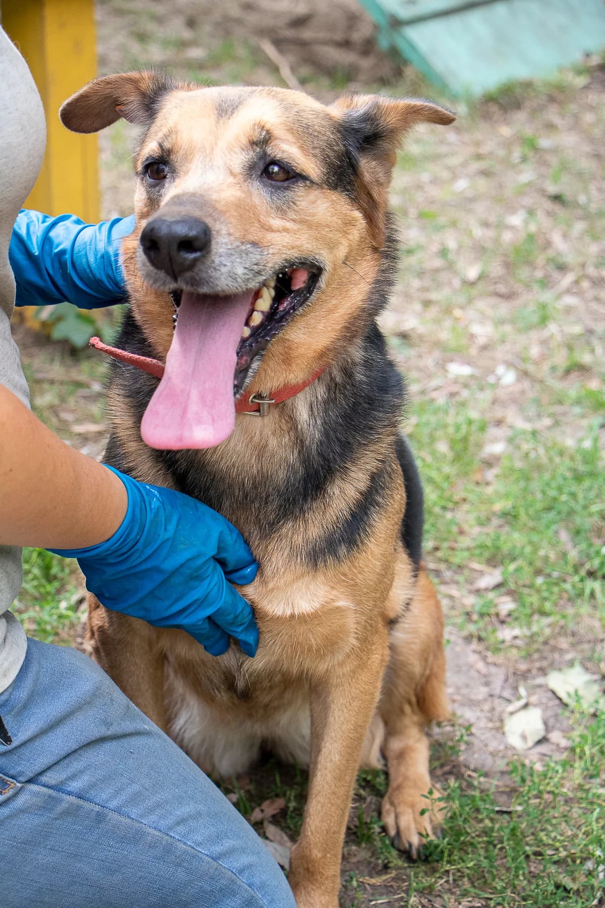 Карамелька photo 3