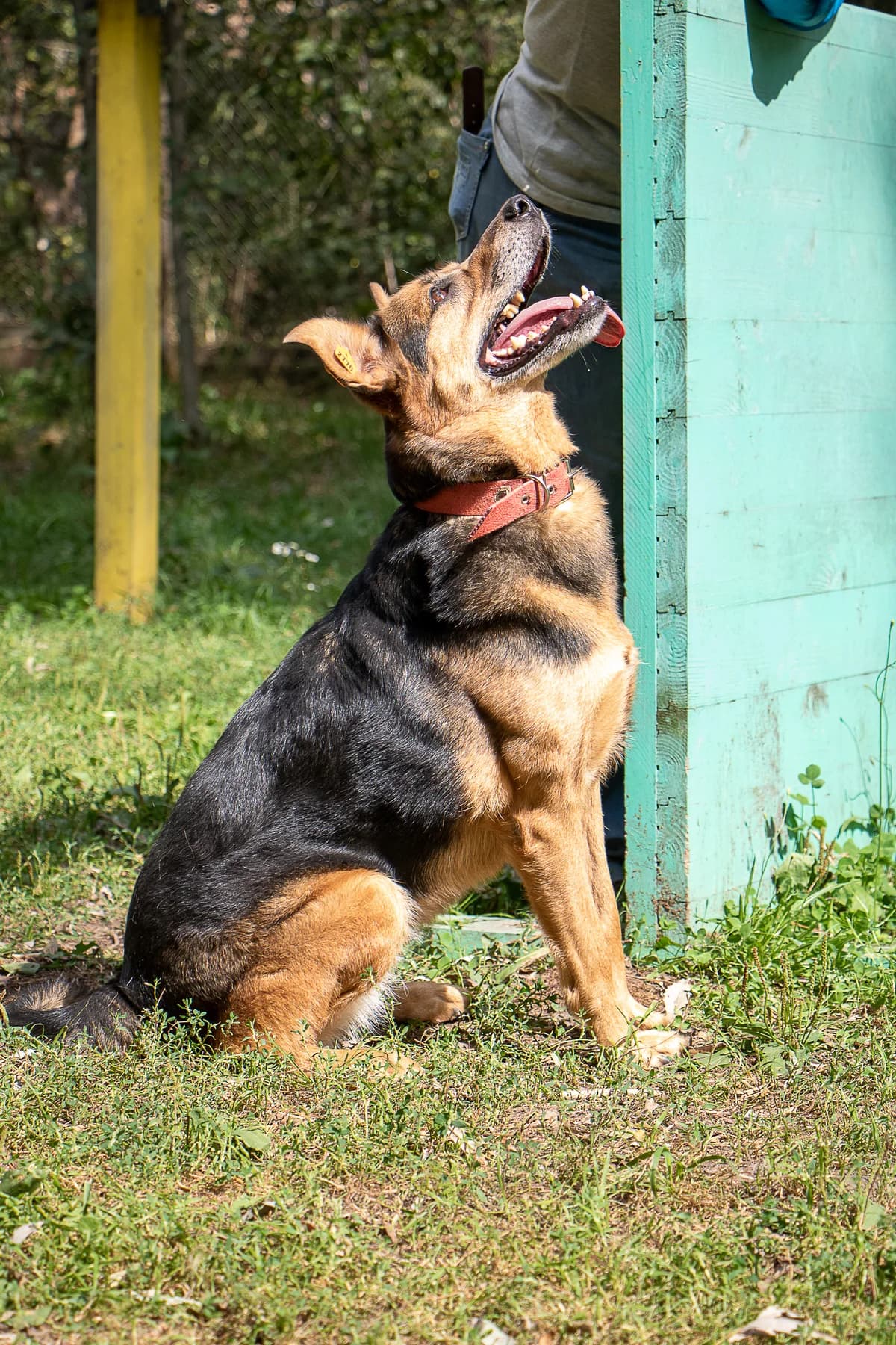 Карамелька photo 4