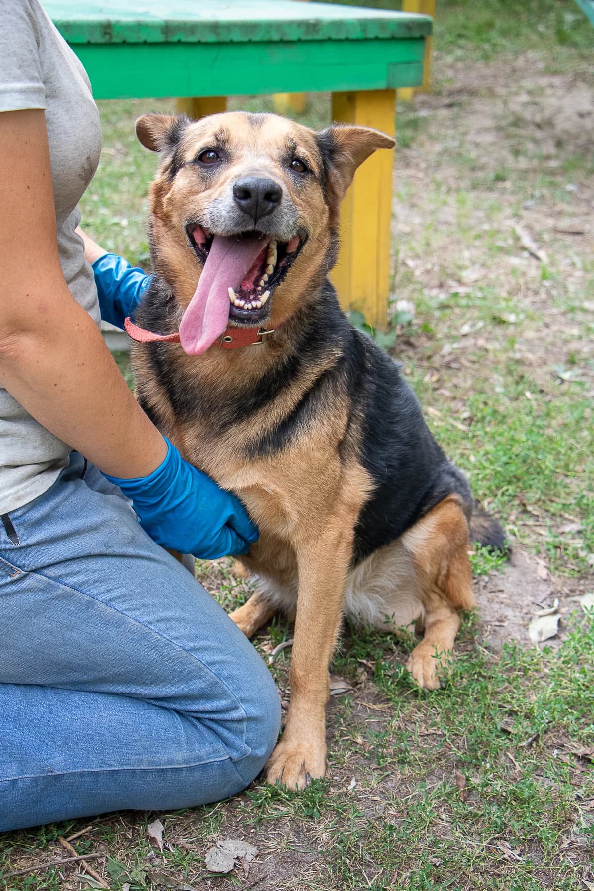 Карамелька photo 5