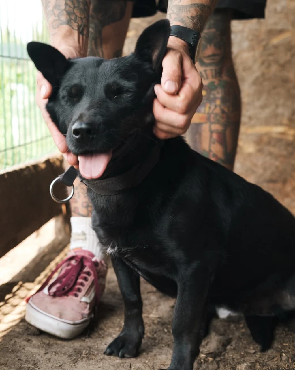 Квасолька photo 2