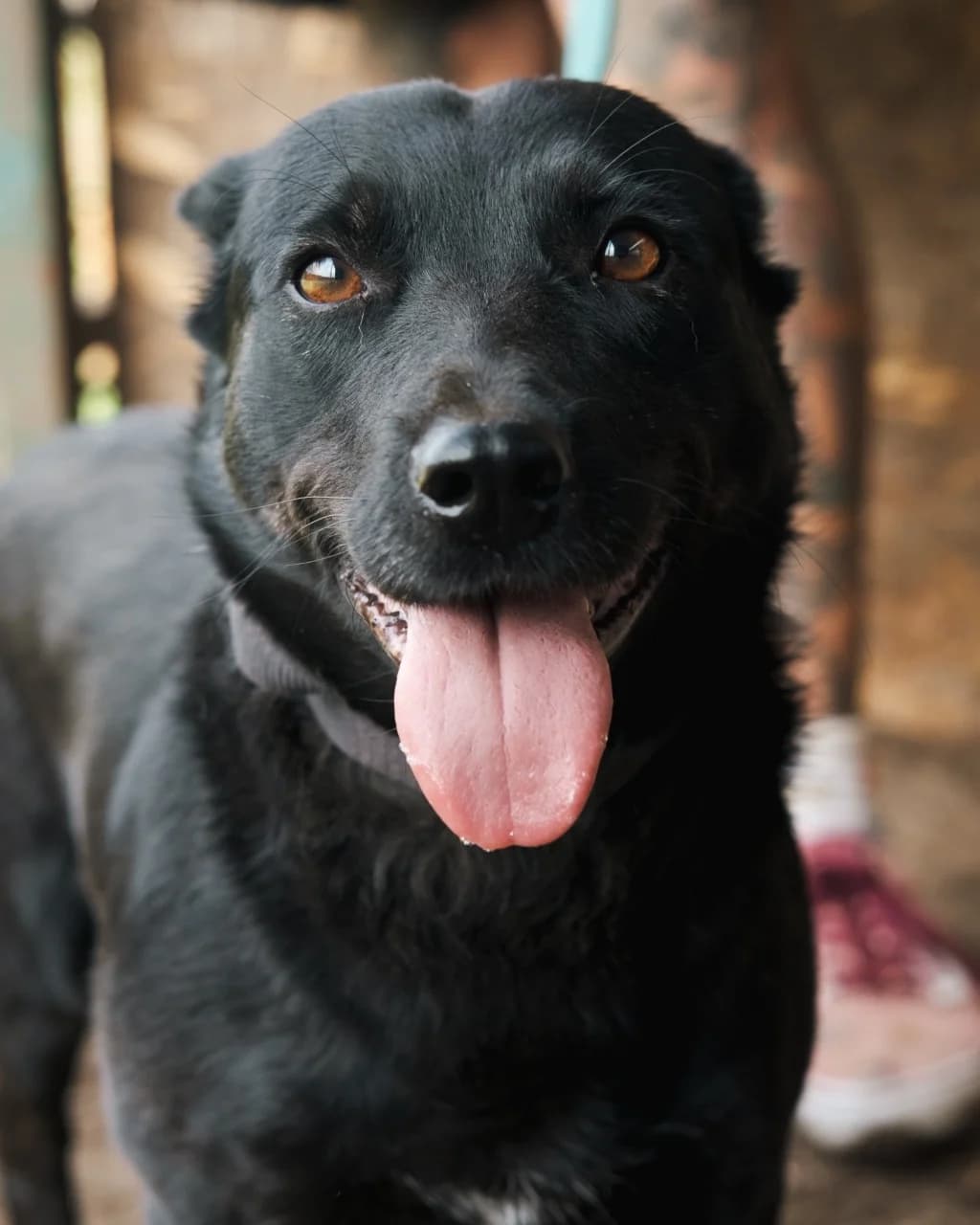 Квасолька photo 3