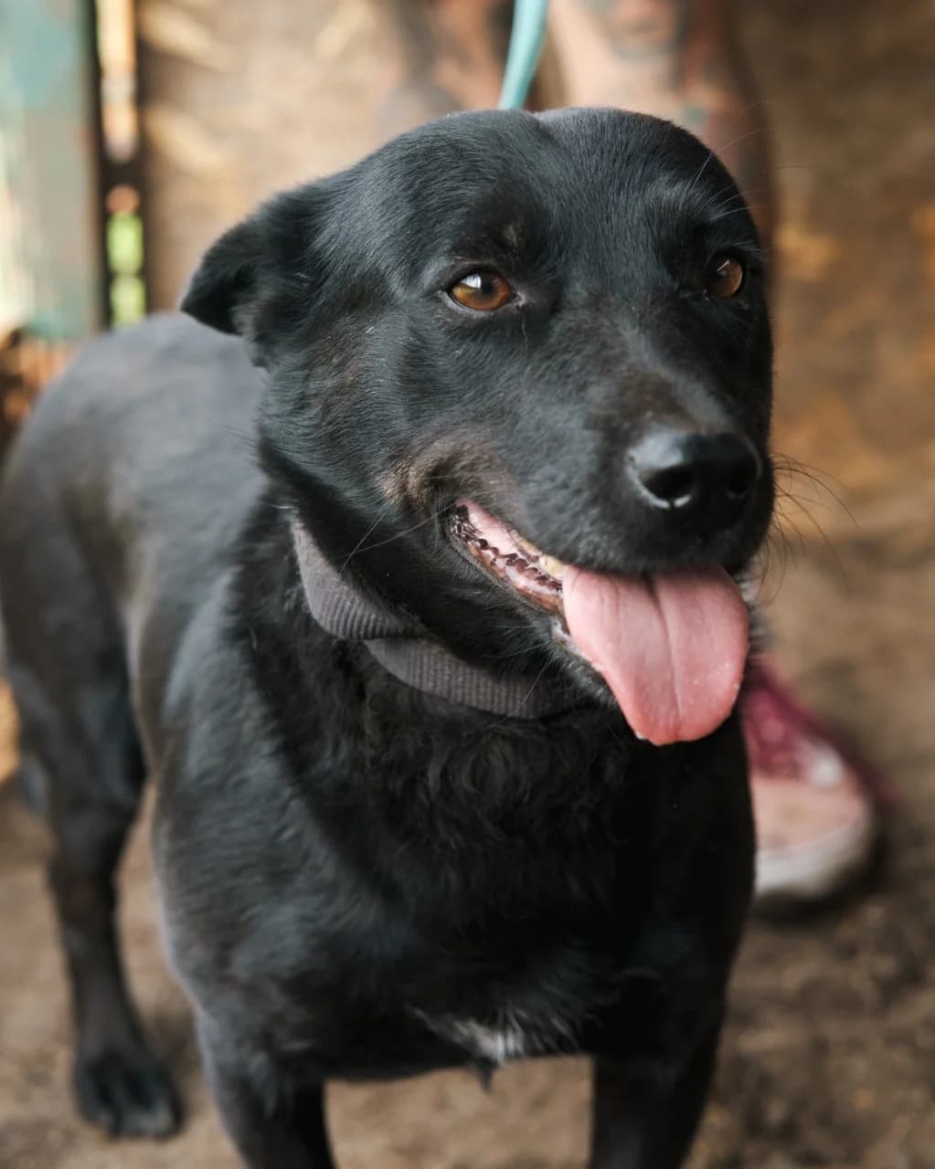 Квасолька photo 4