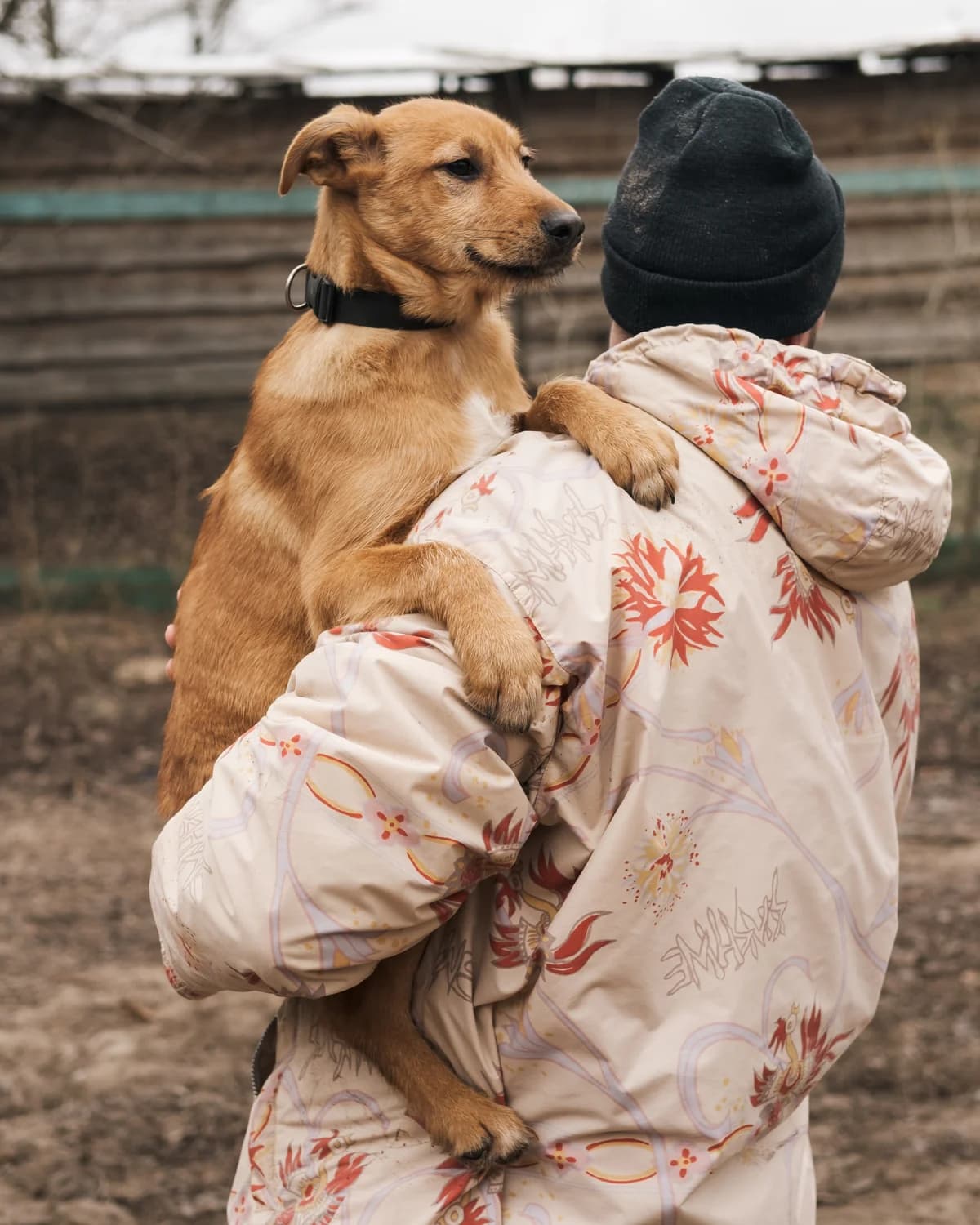 Lordi (Лорді),  (Sirius Shelter)