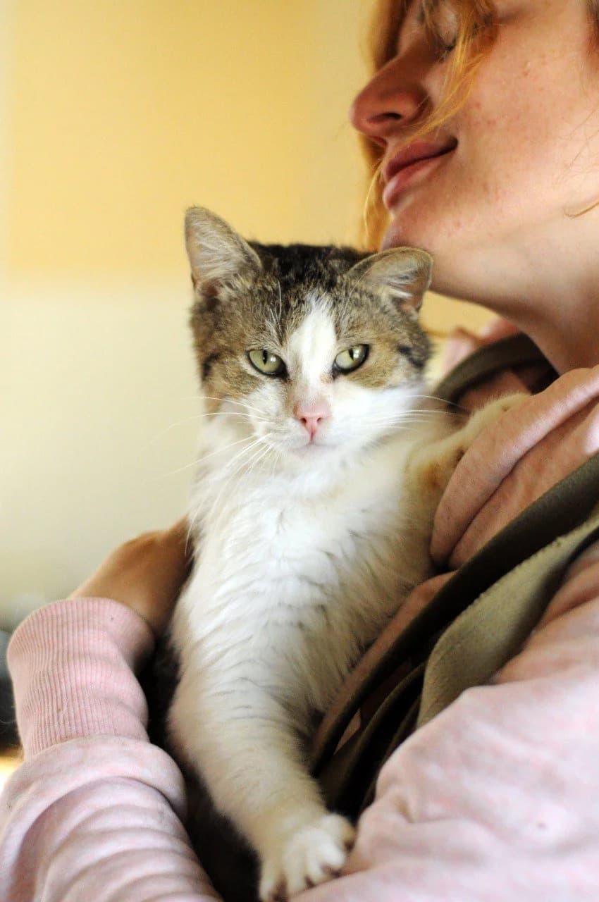 Emma (Емма), female Mixed Breed for adoption at Притулок Best Friends