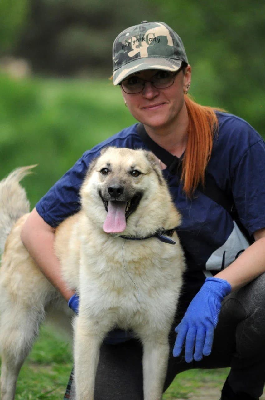 Buch (Буч), male Mixed Breed for adoption at Притулок Best Friends