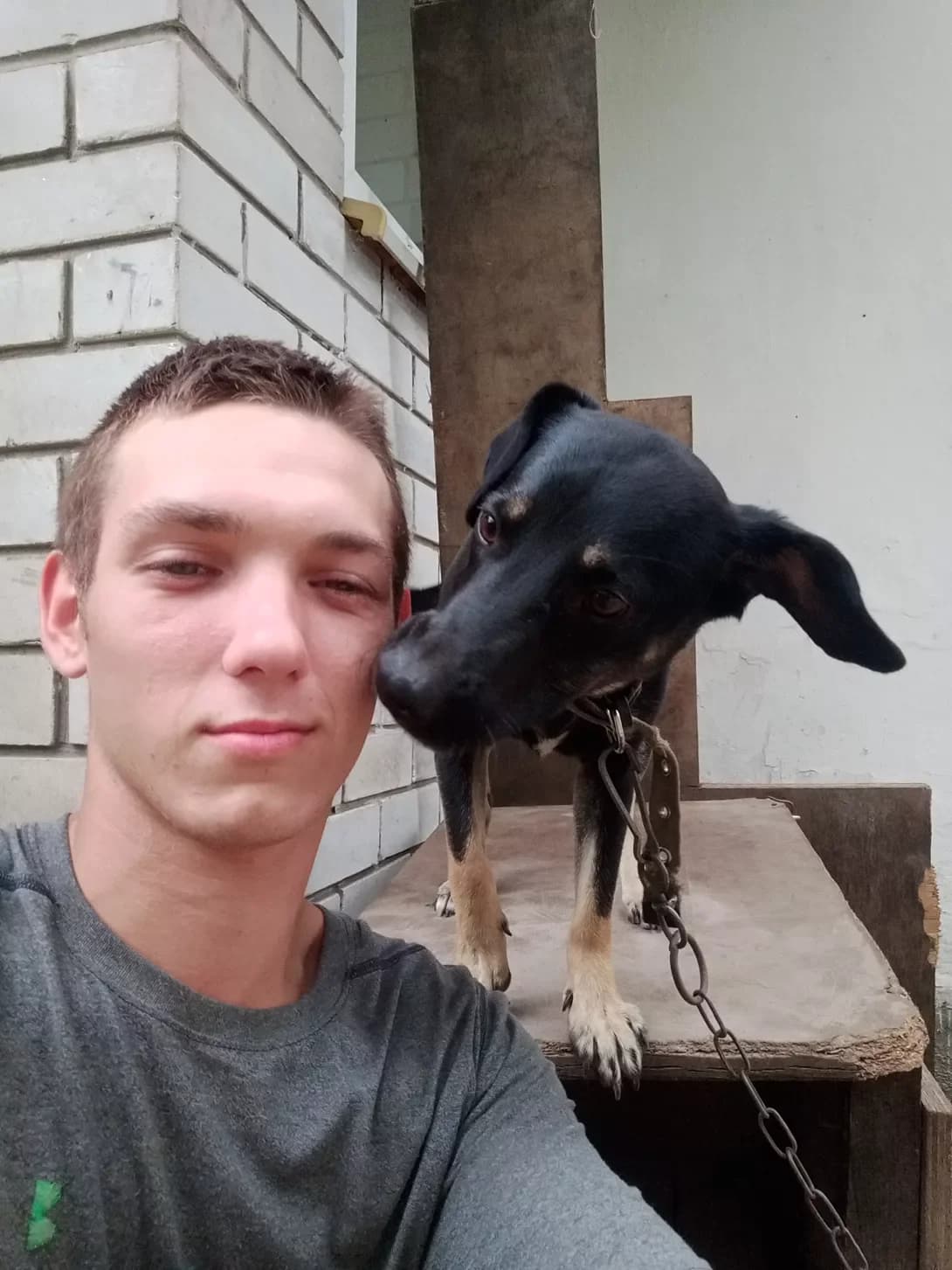 Reks (Рекс), Mixed Breed (Happy Paw Kyiv Oblast)