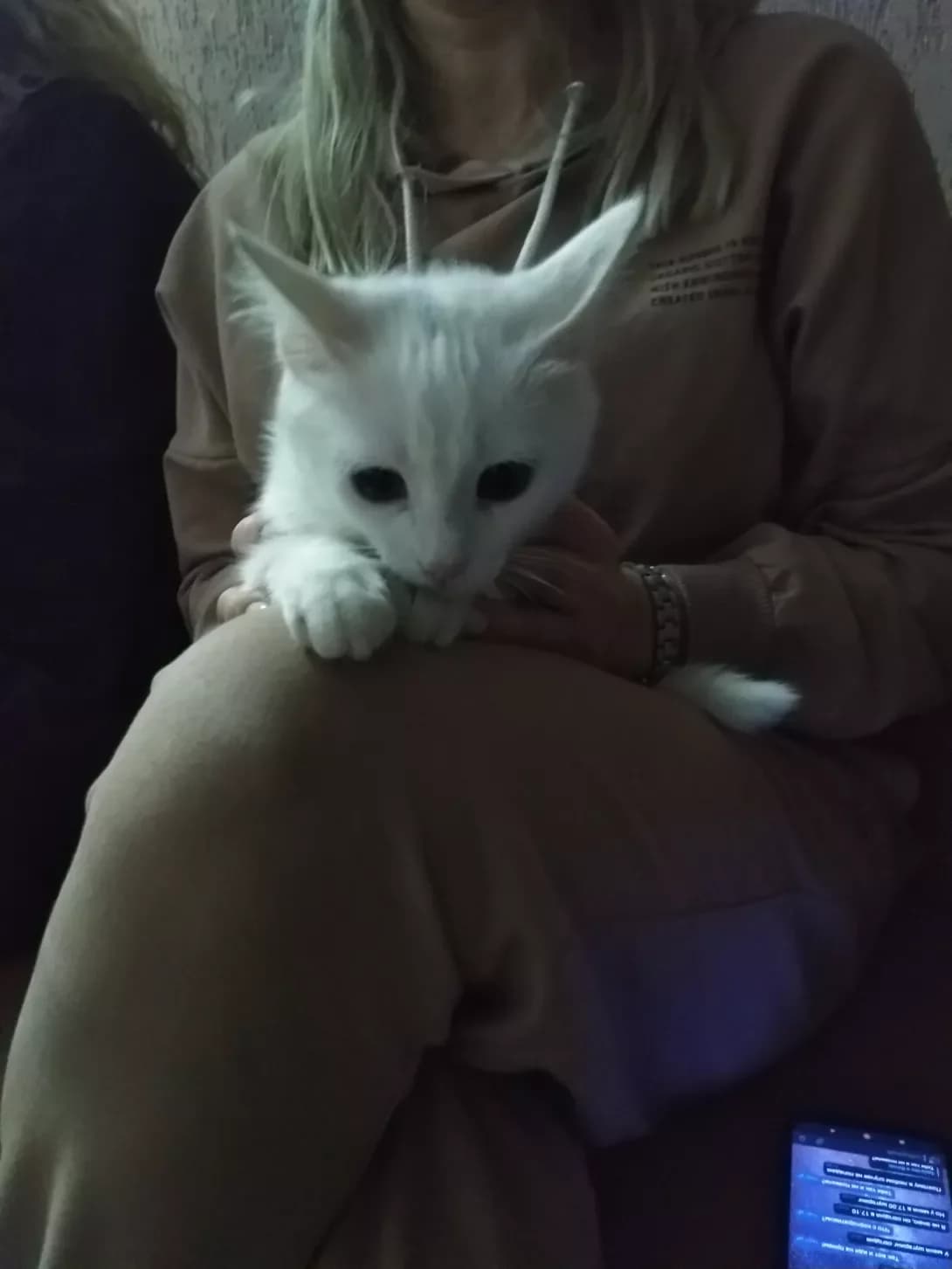 Belarus (Беларус), male 4yo Mixed Breed for adoption at Happy Paw Lviv