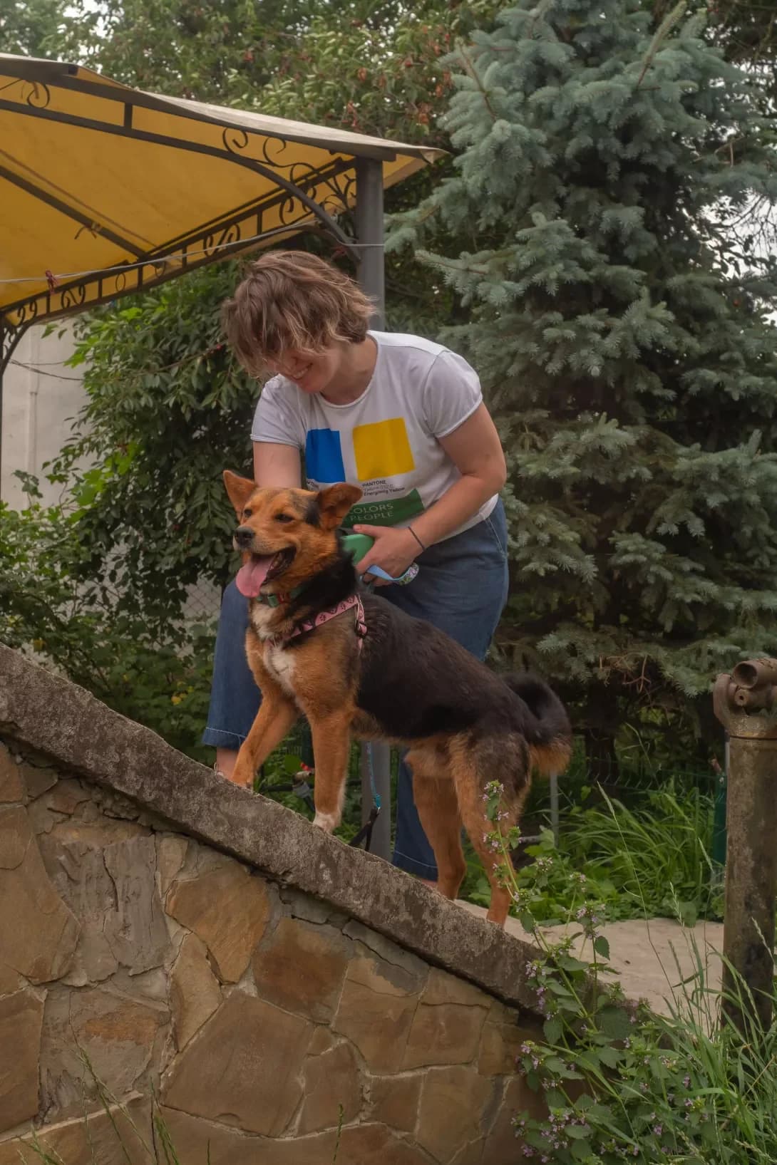 Obiymaka (Обіймака), male young Mixed Breed for adoption at Happy Paw Kyiv