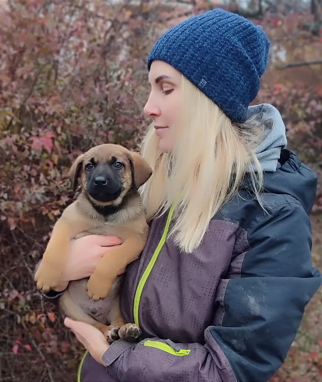 Malyuk (Малюк), male young Mixed Breed for adoption at Happy Paw Kyiv