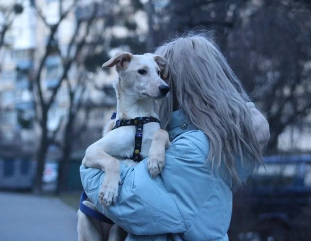 Kanapushka (Канапушка), female young Mixed Breed for adoption at Happy Paw Kyiv