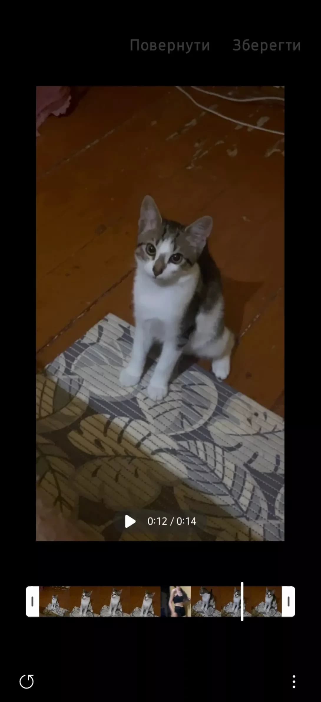 Knopa (Кнопа), female young Mixed Breed for adoption at Happy Paw Rivne Oblast