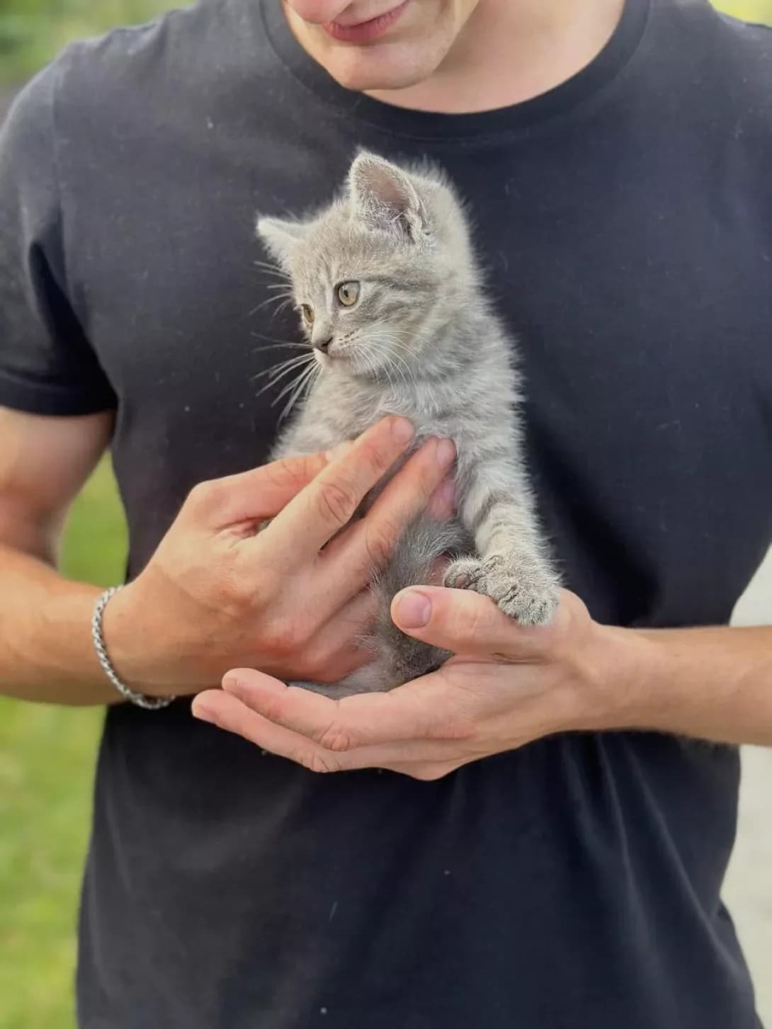 Koshenyata (Кошенята), male young Mixed Breed for adoption at Happy Paw Lviv