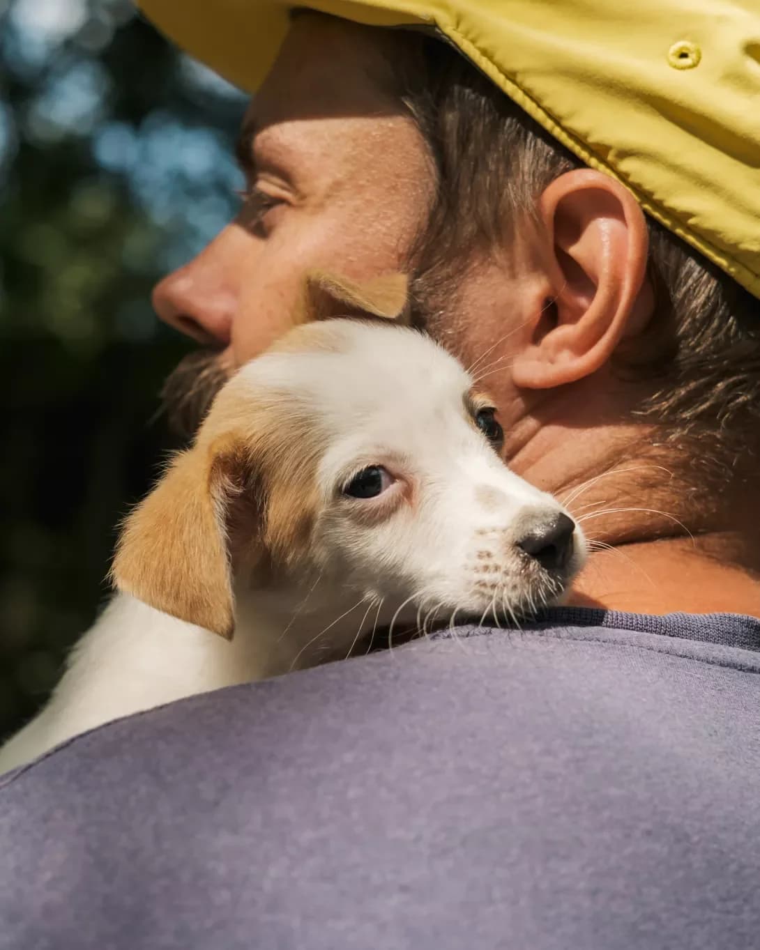 Luna (Луна), Mixed Breed (Happy Paw Kyiv Oblast)