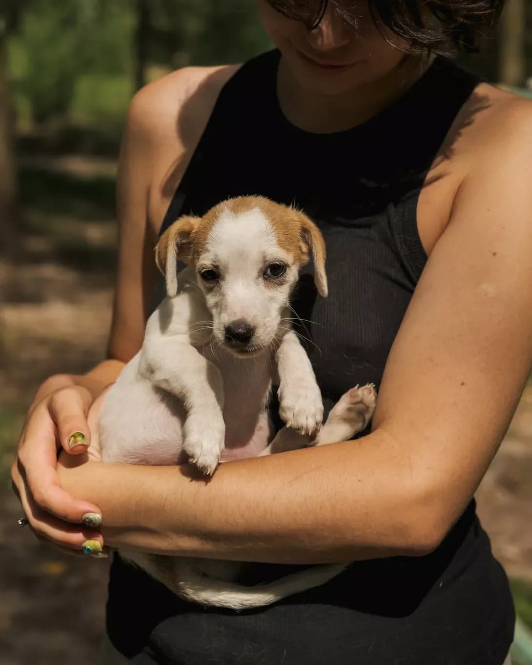 Elf (Ельф), Mixed Breed (Happy Paw Kyiv Oblast)