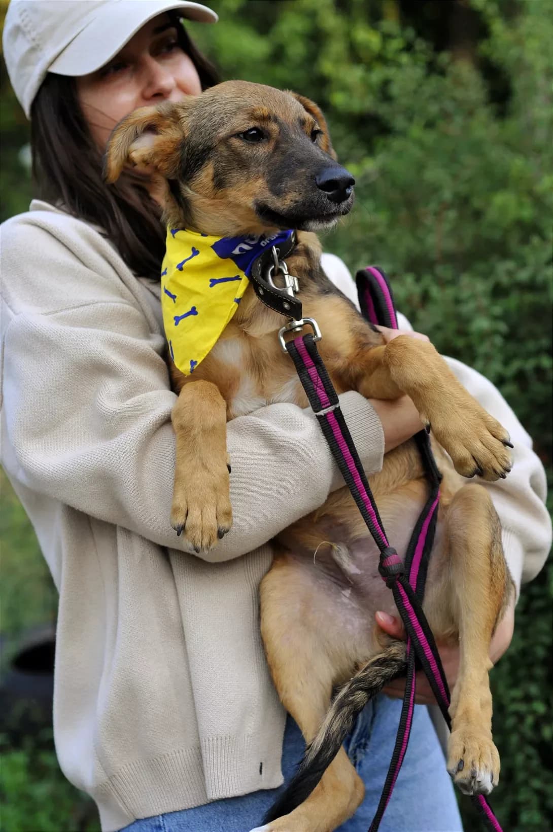 Richard (Річард), male young Mixed Breed for adoption at Happy Paw Kyiv
