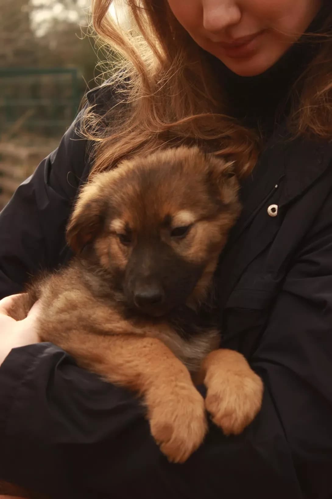 Bazilik (Базилік), Mixed Breed (Happy Paw Kyiv Oblast)