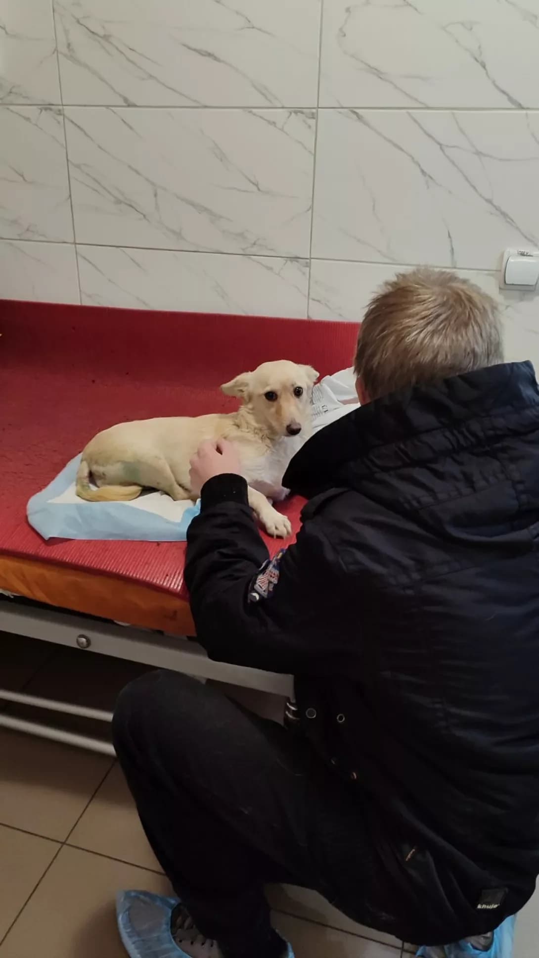 Zhuzha (Жужа), Mixed Breed (Happy Paw Kirovohrad)