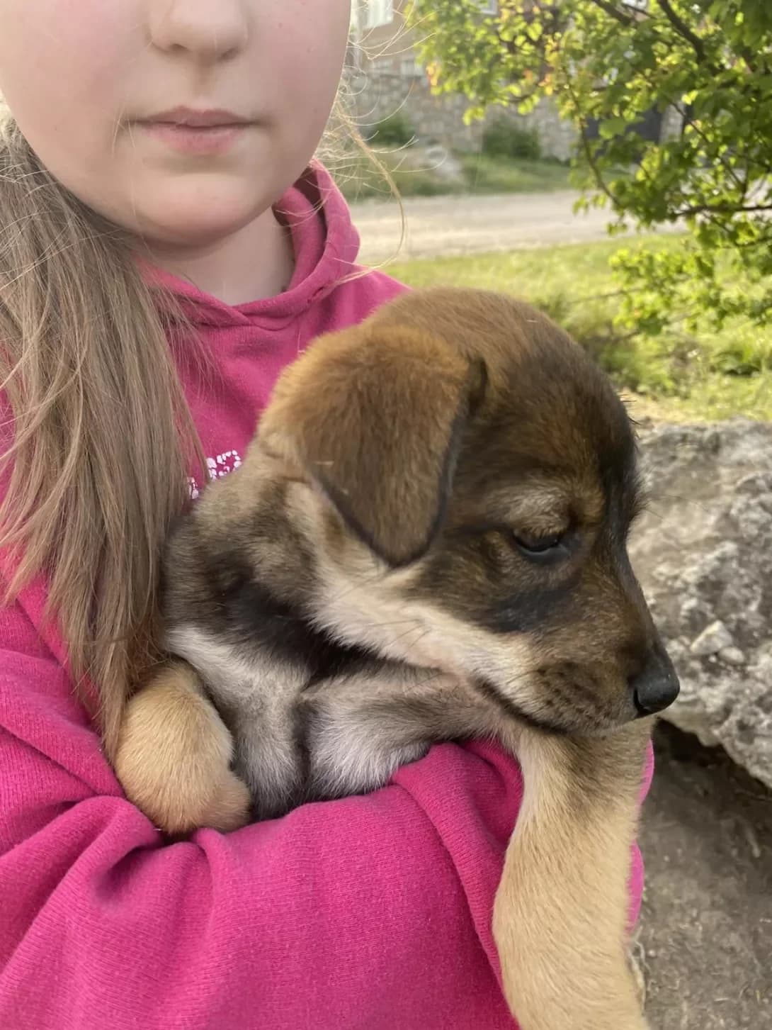Bez imeni (Без імені), Mixed Breed (Happy Paw Kirovohrad)